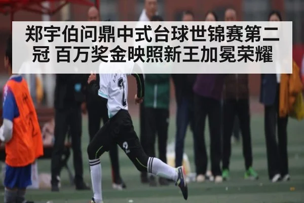 郑宇伯问鼎中式台球世锦赛第二冠 百万奖金映照新王加冕荣耀